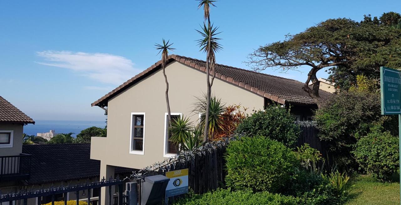 Crooked Tree Cottage Ντούρμπαν Εξωτερικό φωτογραφία